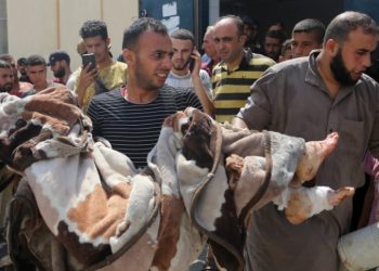 الحرب الإبادة الجماعية في غزة