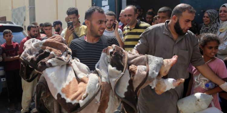 الحرب الإبادة الجماعية في غزة