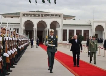 الرئيس الجزائري يبدأ جولة دبلوماسية في مصر وعُمان لتعزيز العلاقات الثنائية