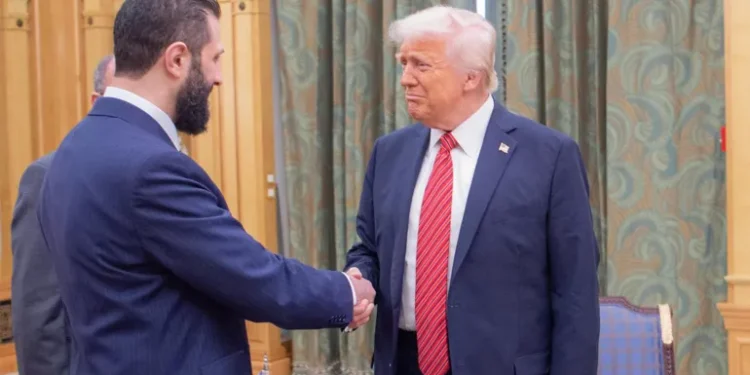بين السياسة والذاكرة الثورية.. هل يتشابه أحمد الشرع مع السنوار؟